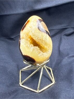 Septarian "Dragon Stone" Egg